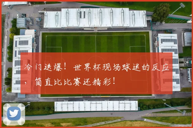 冷门迭爆！世界杯现场球迷的反应，简直比比赛还精彩！