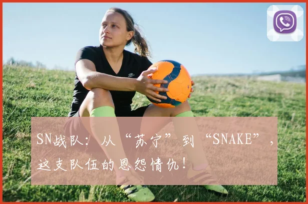SN战队：从“苏宁”到“SNAKE”，这支队伍的恩怨情仇！