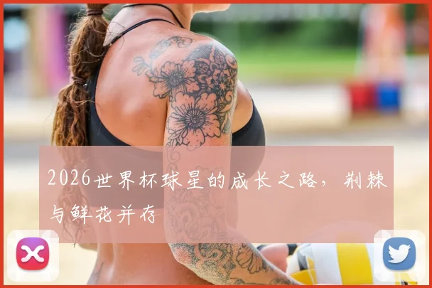 2026世界杯球星的成长之路,荆棘与鲜花并存